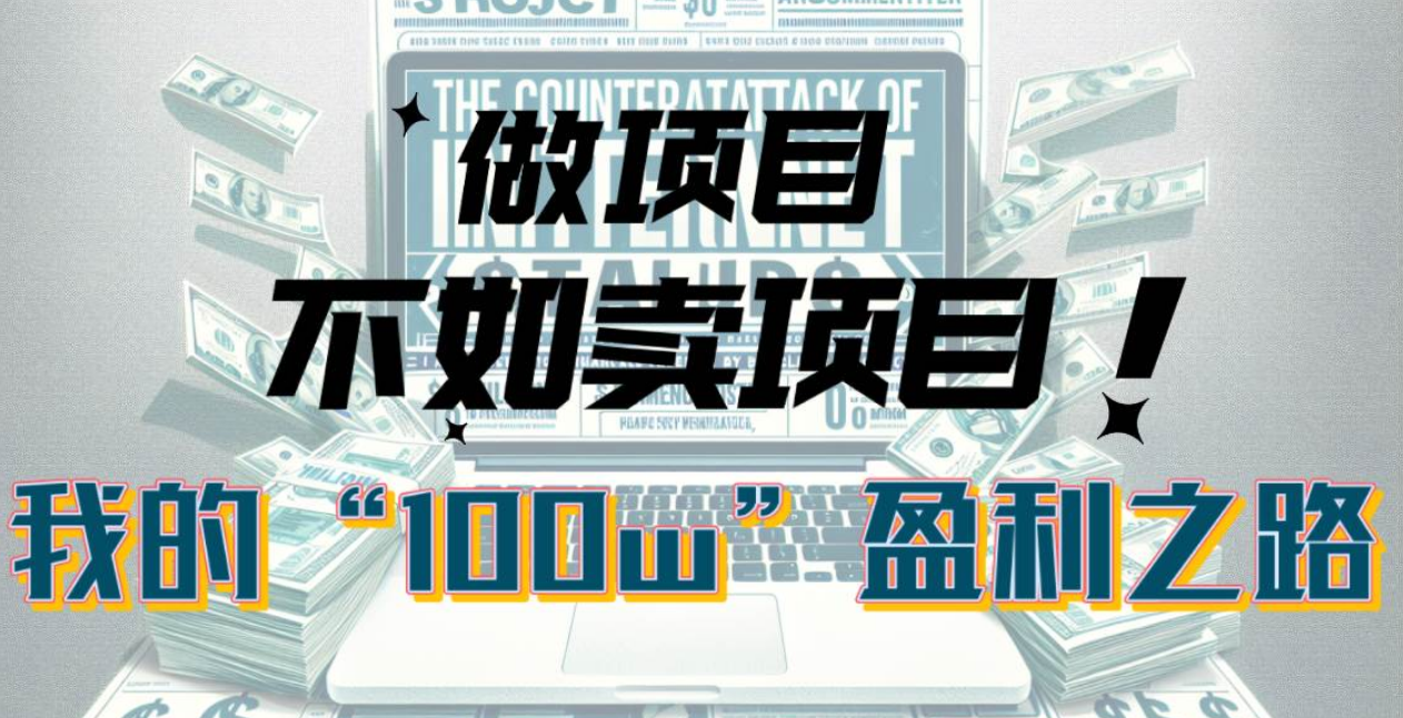 为什么做项目不如卖项目？我的100W+盈利之路