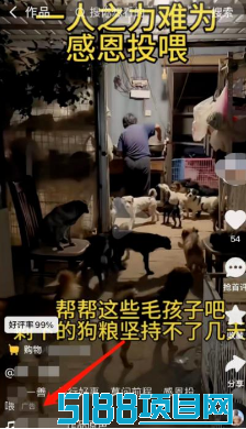 网上空手套白狼挣钱项目，一个人也能年入20万+