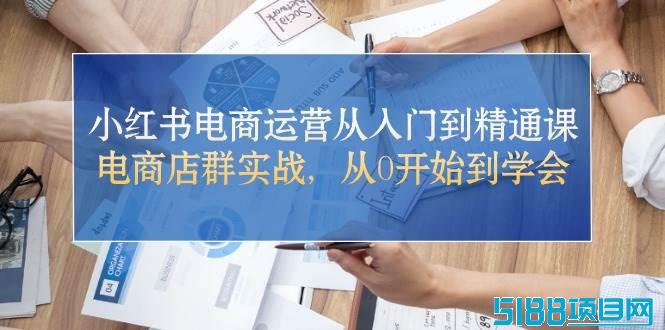 小红书电商运营从入门到精通课，电商店群实战，从0开始到学会