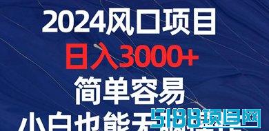 先锋赚客新项目来袭！每日收溢200-500+，无需复杂操作，轻松赚取副业新机会！