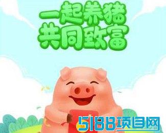 一起来养猪：真的可以赚钱吗？实战经验分享与分析！