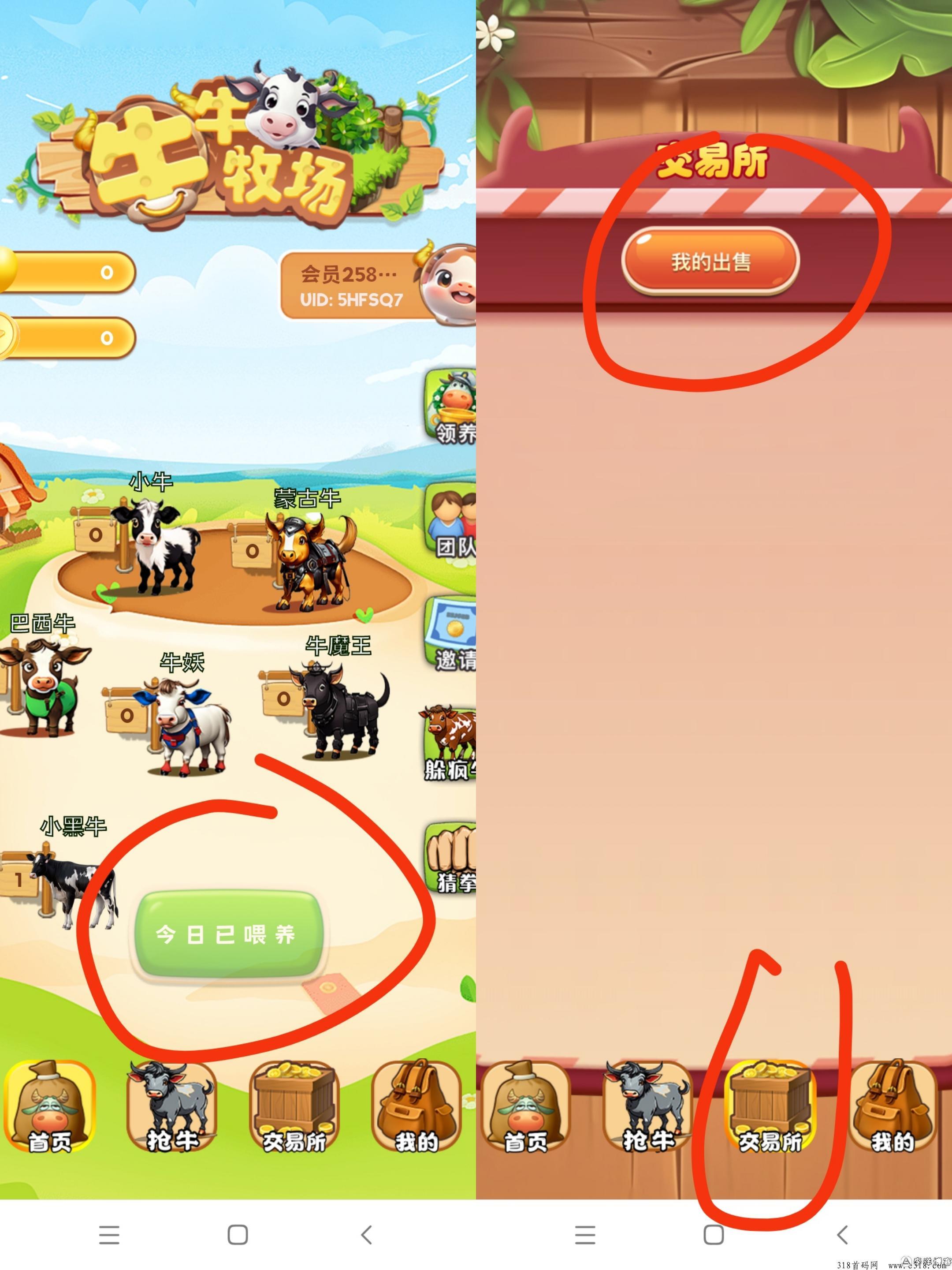 牛牛牧场，无广告，每天上线纯签到，多号多撸
