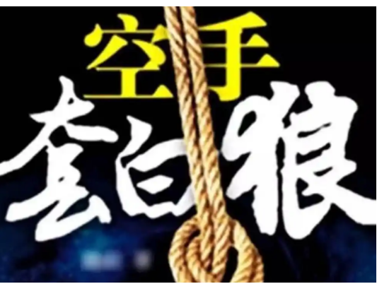 2025年空手套白狼年赚100万的赚钱方法！