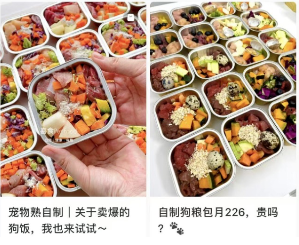 零门槛年赚50万+的偏门小众赚钱项目