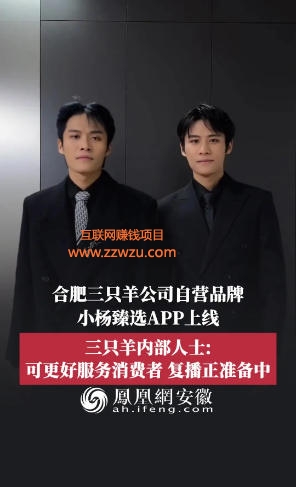 小杨甄选薅羊毛甄宝