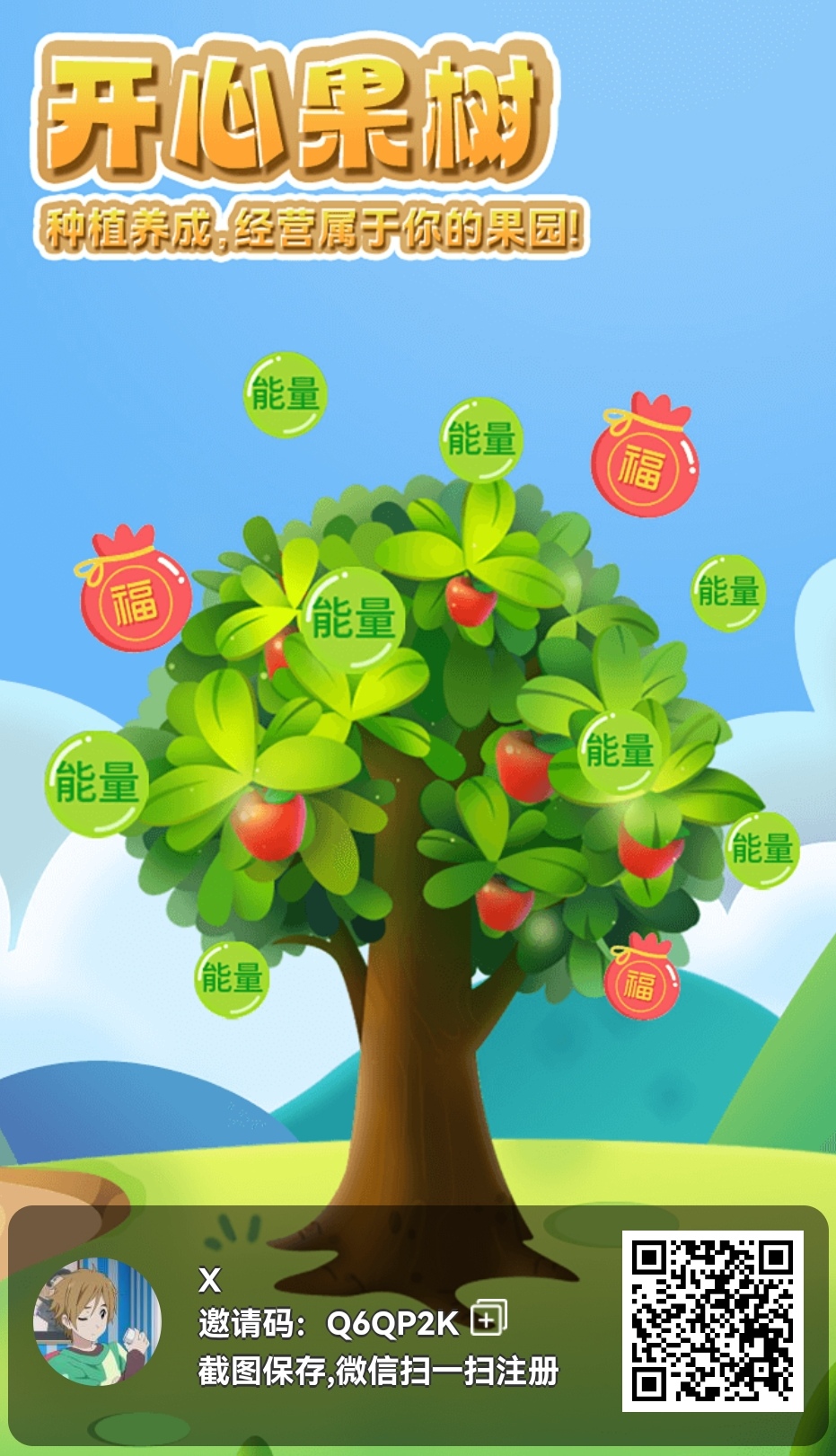 开心果树，活动棒棒的，零撸首码