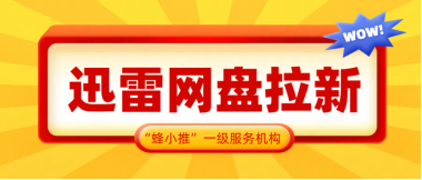 蜂小推，流量密码！迅雷网盘拉新破局的关键思路