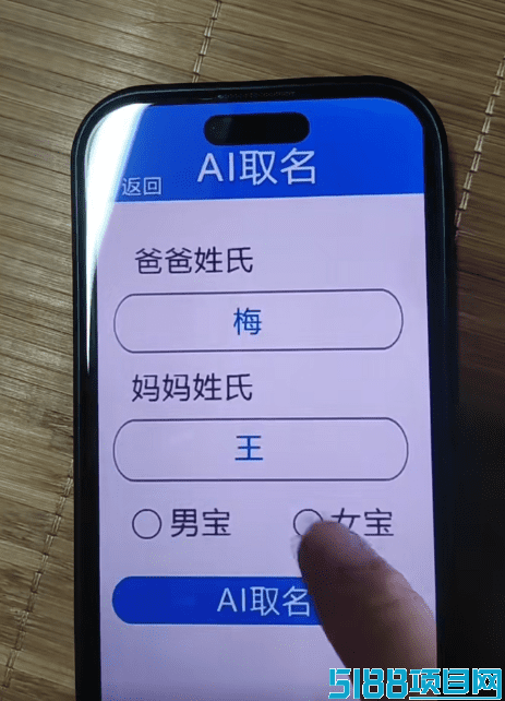 AI起名项目新玩法，日入300+，一部手机粘贴复制就能出单