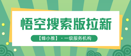 【蜂小推】速看！悟空搜索版推广如何高效：提升推广效果的可行路径