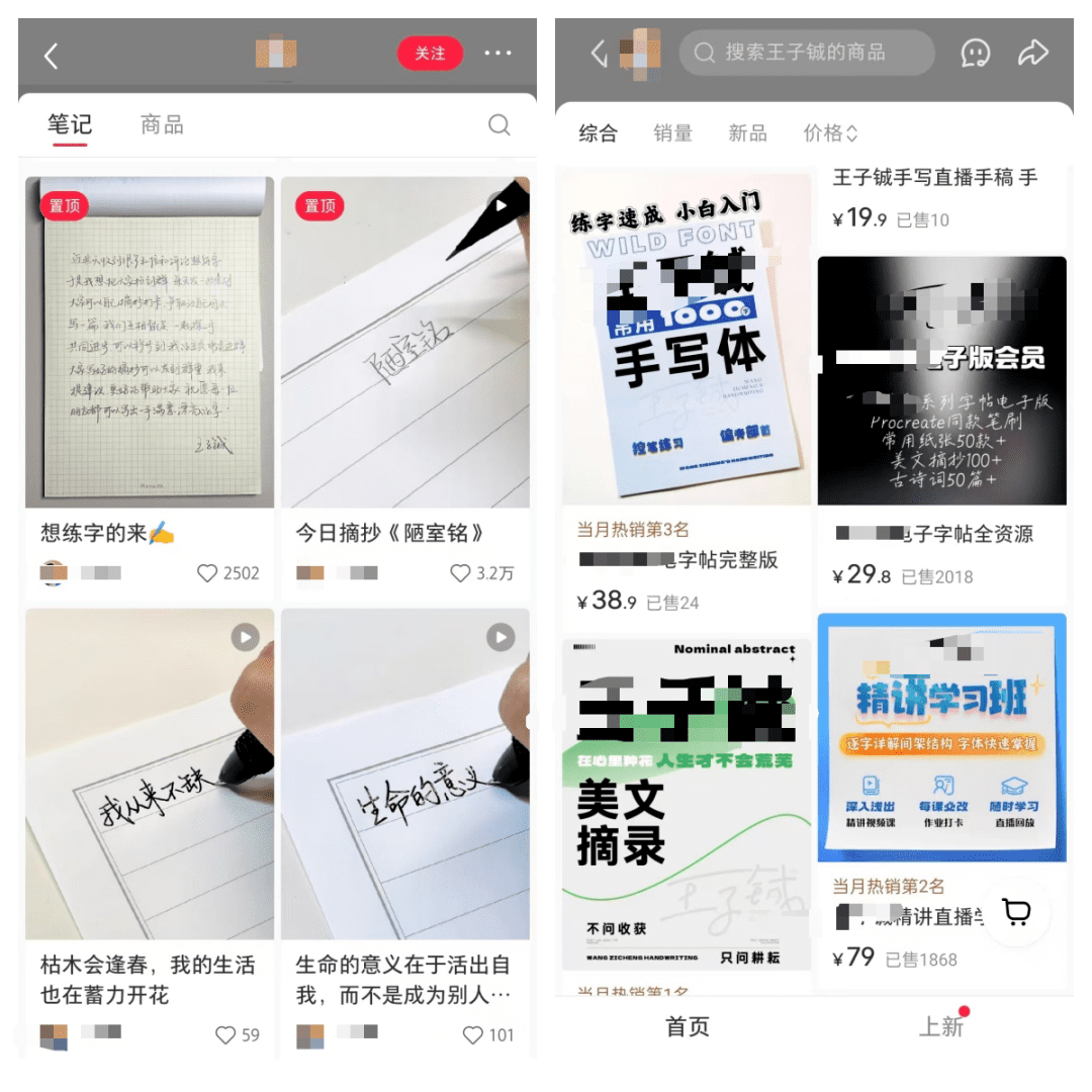 小红书做书抄，简单实拍写字，赚了十几万