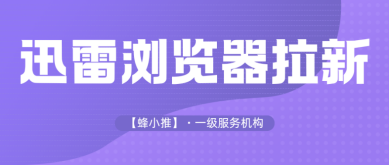 蜂小推，私域流量盘活术！迅雷浏览器推广高效变现路径