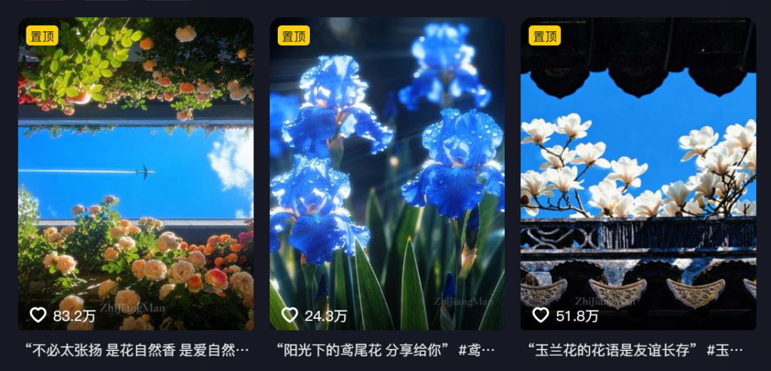 新玩法!利用AI做治愈风景视频,单条作品获赞83w,批量起号赚麻了