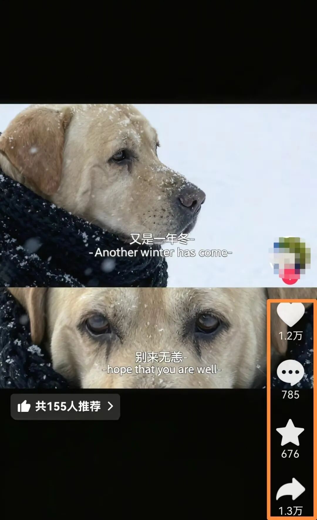 1.2W赞爆款毛绒宠物AI教程来了！3步Get同款雪地电影，你家猫犬也能成网红