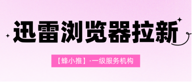 蜂小推，迅雷浏览器推广前景广阔，找副业的一定要试试