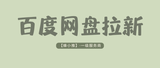 蜂小推：不靠流量堆量！用数据思维做百度网盘推广更高效