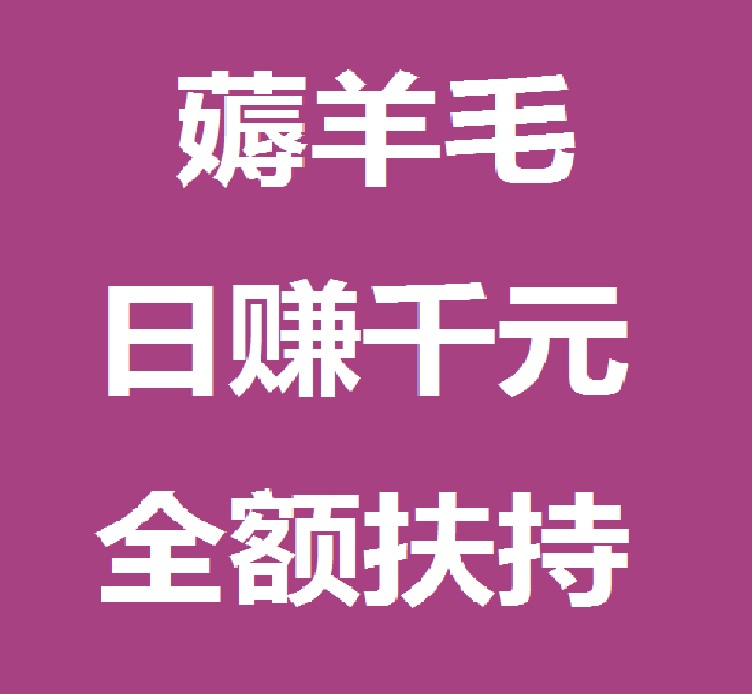 薅羊毛一次撸50，Bingo智能科技 , 日赚千元，不要充值，先联系我