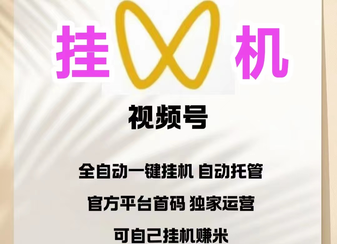 2026视频号免费挂机平台，单窗口日收入30+