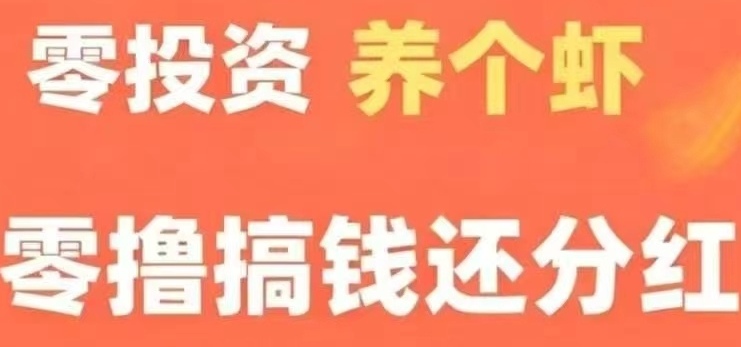 注册送金币虾，每天可自动化产出效益