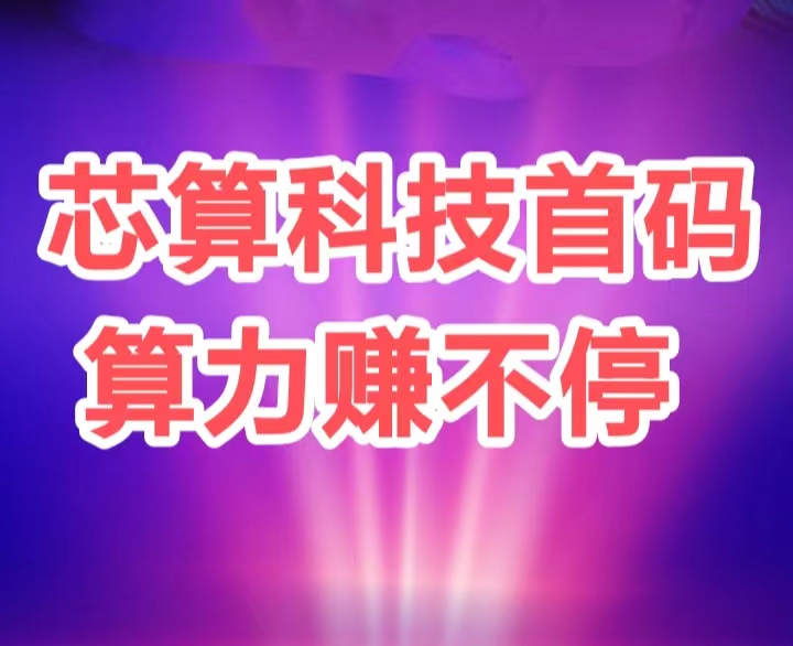 薪算科技刚出：每天自动产出收益 满1可提